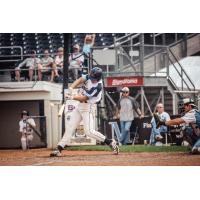 TP Wentworth at bat for the Fond du Lac Dock Spiders