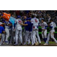 Knoxville Smokies celebrate a late win over the Montgomery Biscuits