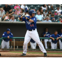 A.J. Ellis with the Albuquerque Isotopes
