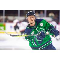 Maine Mariners forward Linus Hemstrom