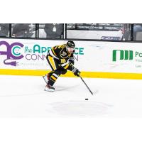 Wheeling Nailers forward Cole Tymkin