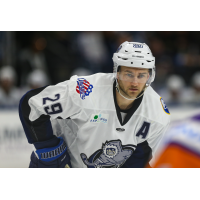 Jacksonville Icemen forward Craig Martin