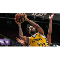 Edmonton Stingers in action