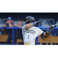 Montgomery Biscuits second baseman Hunter Stovall