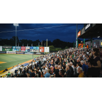 A sellout crowd at Fairfield Properties Ballpark watches the Long Island Ducks