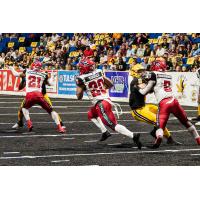 Jacksonville Sharks running back Demontre Tuggle carries against the Tulsa Oilers