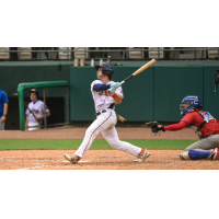 Down East Bird Dawgs with a big swing
