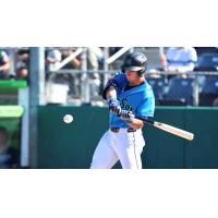 Colt Emerson of the Everett AquaSox