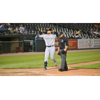 Long Island Ducks head home