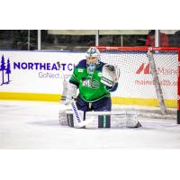 Maine Mariners goaltender Brad Arvanitis