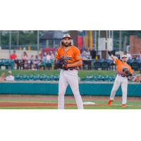 Down East Bird Dawgs pitcher Spencer Johnston
