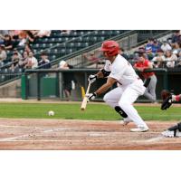 Jacob Robson of the Winnipeg Goldeyes lays down a bunt