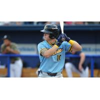 Montgomery Biscuits' Brayden Taylor at bat