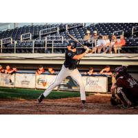 Fond du Lac Dock Spiders' Reece McCarthy at bat