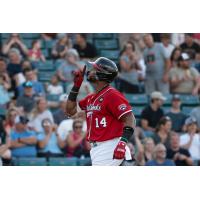 Fargo-Moorhead RedHawks' Jose Sermo