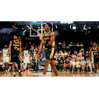 Edmonton Stingers' Keon Ambrose-Hylton, Scottie Lindsey, and Elijah Miller on game night