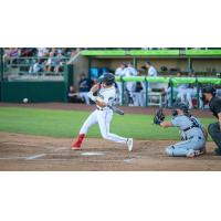 Tri-City Dust Devils at bat