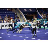 Massachusetts Pirates make a tackle against the Bay Area Panthers