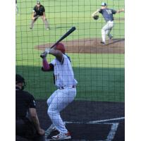 Green Bay Rockers outfielder Eli Selga at the plate