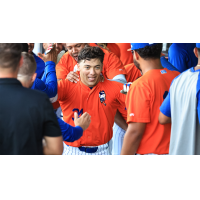 St. Lucie Mets second baseman Nick Roselli