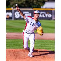 Victoria HarbourCats' Tommy Bridges in action
