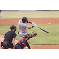 Dylan Jasso of the Somerset Patriots makes contact