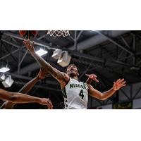 Niagara River Lions go up for a rebound