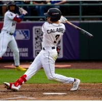 Tri-City Dust Devils outfielder David Calabrese