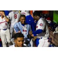 Knoxville Smokies celebrate in the dugout