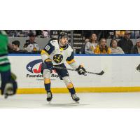 Norfolk Admirals forward Grant Hebert