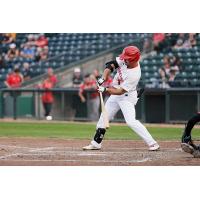 Jacob Robson at bat for the Winnipeg Goldeyes