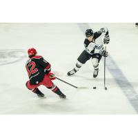 Allen Americans rward Brayden Watts (left)