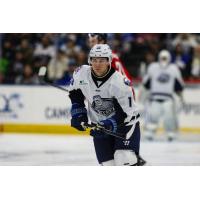 Jacksonville Icemen forward Chris Grando