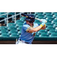 Montgomery Biscuits shortstop Brayden Taylor