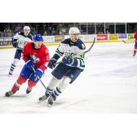 Maine Mariners forward Alex DiPaolo