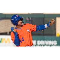 St. Lucie Mets outfielder Randy Guzman
