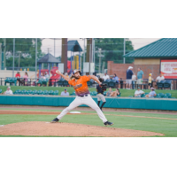 Down East Bird Dawgs pitcher Spencer Johnston
