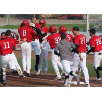 Sioux City Explorers celebrate a walk off win