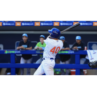 St. Lucie Mets outfielder Rafael Ortega