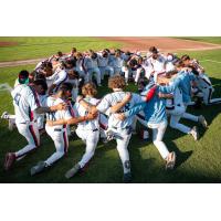 Victoria HarbourCats on game night