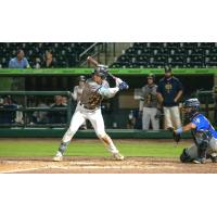 Charleston RiverDogs catcher Nathan Flewelling