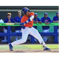 St. Lucie Mets 1B/OF Randy Guzman at bat