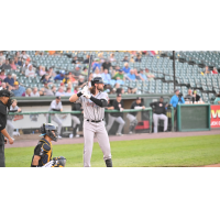Long Island Ducks infielder Troy Viola