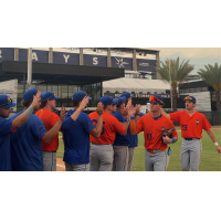 St. Lucie Mets exchange congratulations after a win at Tampa
