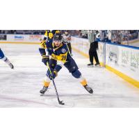 Norfolk Admirals forward German Yavash