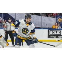 Norfolk Admirals forward German Yavash