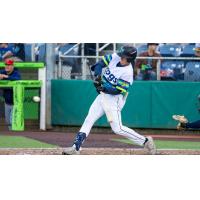 Everett AquaSox outfielder Anthony Donofrio