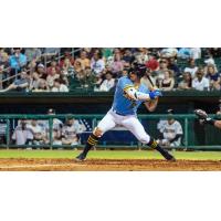 Montgomery Biscuits catcher Tatem Levins