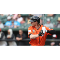 Long Island Ducks at bat