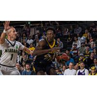 Niagara River Lions' Kimbal Mackenzie versus Edmonton Stingers' Scottie Lindsey